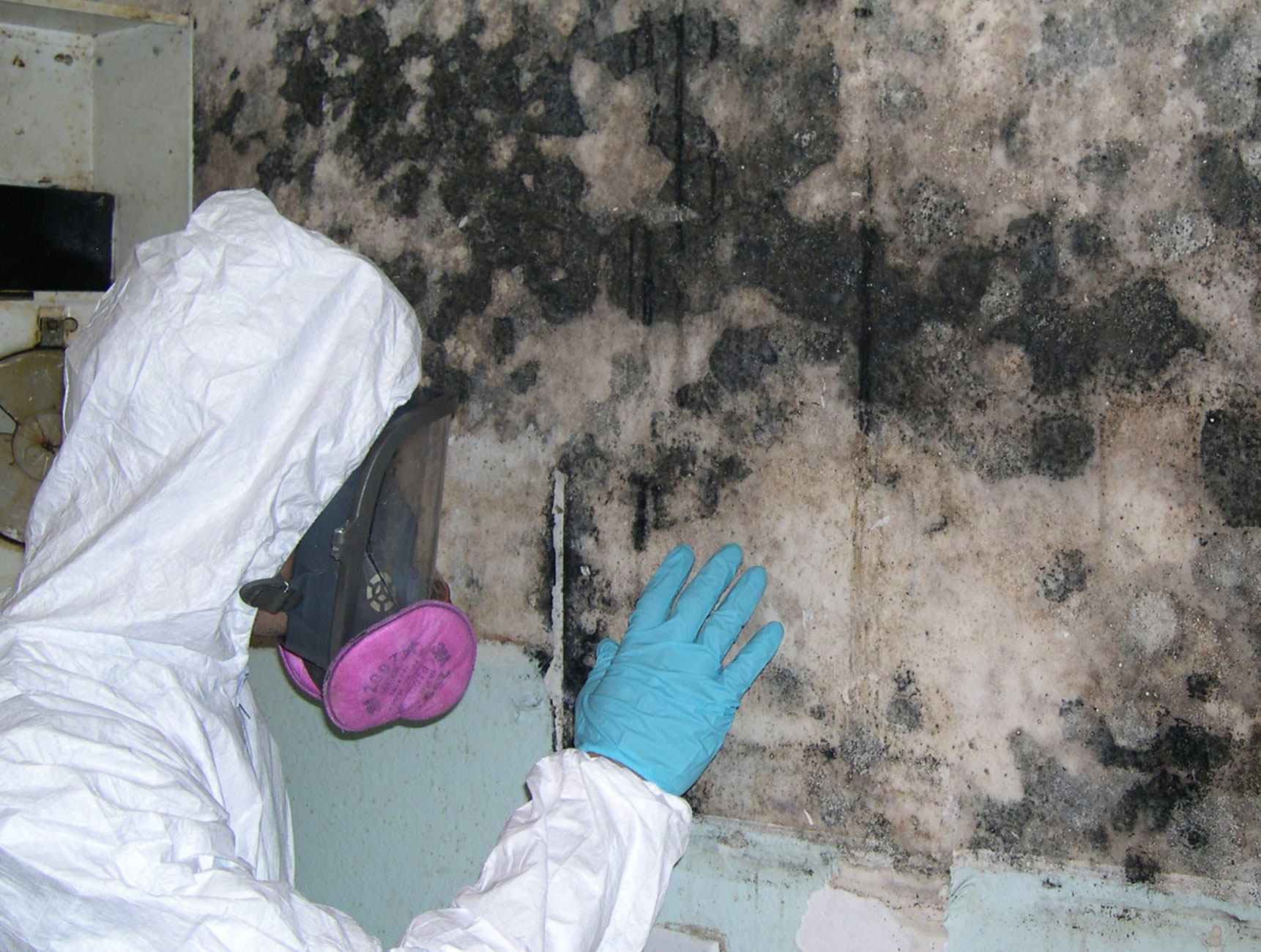 Mold Remediation